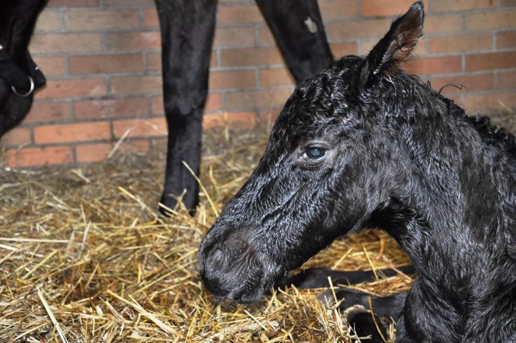 ????????????????????????????????????